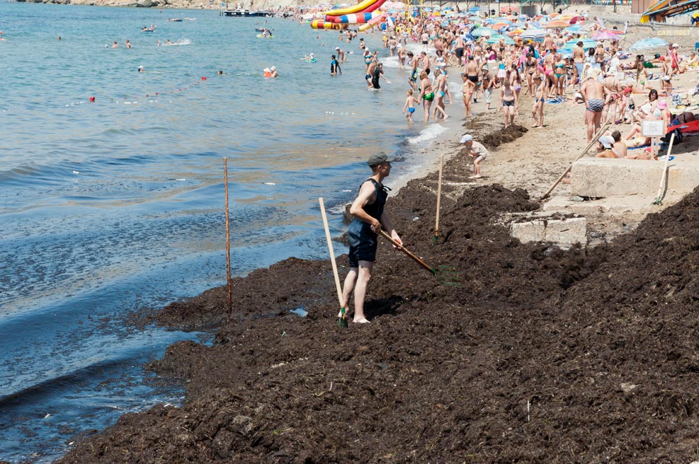Крым, поселок Орджоникидзе (Феодосия), пляжи - лето 2011 года (24)