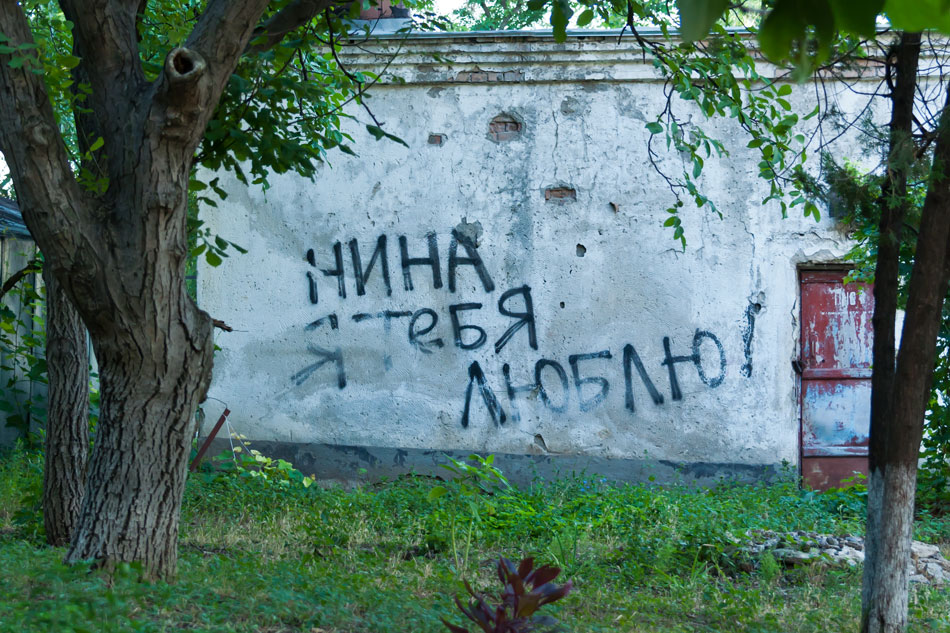 Животный мир Тирасполя (26) Животный мир Тирасполя: кошки и собаки (26)