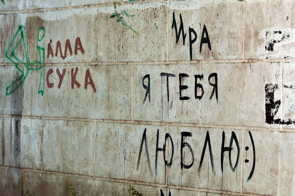 Животный мир Тирасполя (33) Животный мир Тирасполя: кошки и собаки (33)