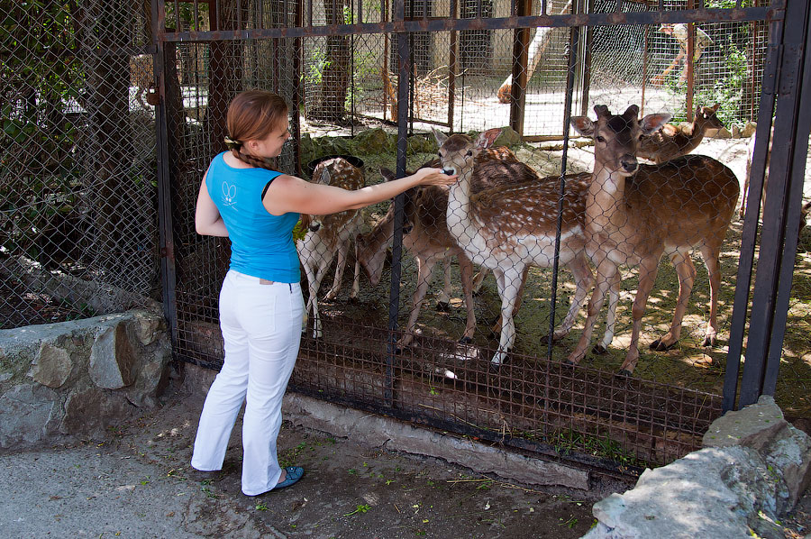 Зоопарк "Сказка" - Крым, Ялта, 24 мая 2013 года (21)
