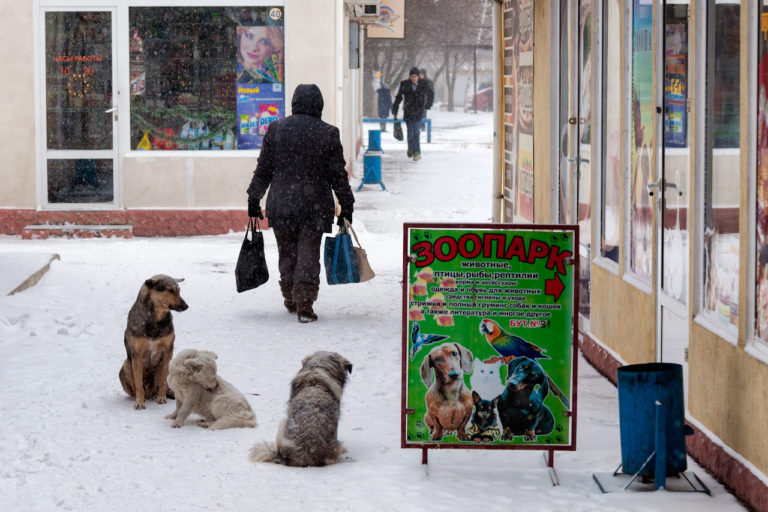 Зима в Тирасполе